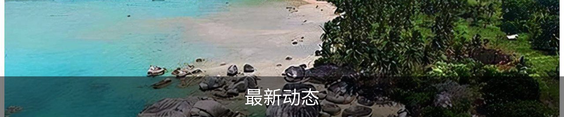 最新动态